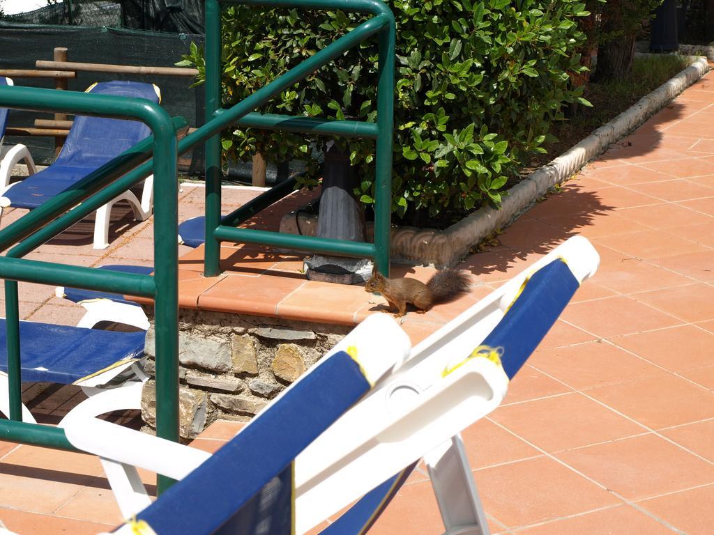 Camping Village Panoramico Fiesole Exterior foto