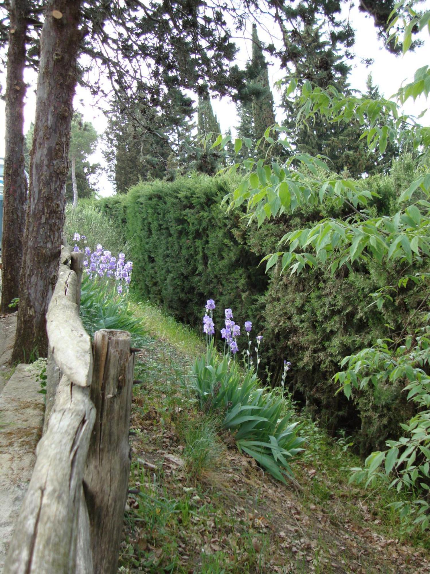 Camping Village Panoramico Fiesole Exterior foto